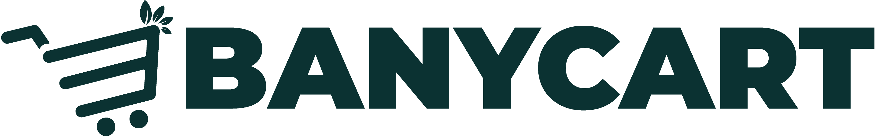 BanyCart Main LogoV4