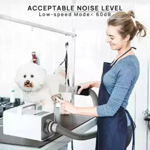 DownyPaws Professional LED Pet Dog Dryer 2