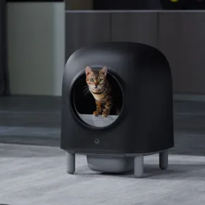 Petree Automatic Self Cleaning 10